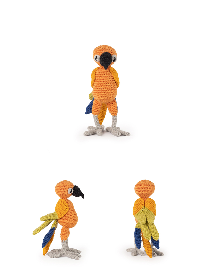 miguel the sun conure
